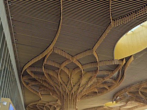 Columnas ramificadas en la cubierta de la terminal 2 del aeropuerto de Guwahati