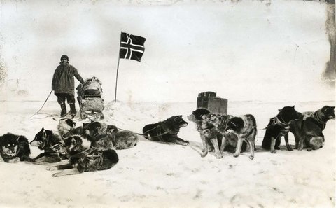 amundsen