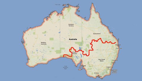 dingo fence