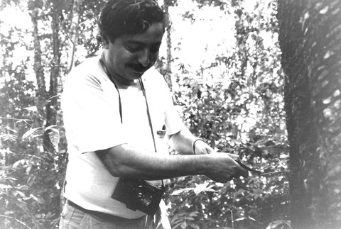 Un hombre con camisa haciendo un corte en la corteza de un árbol de caucho en la selva