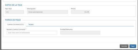 carnet conducir internacional por web tasa