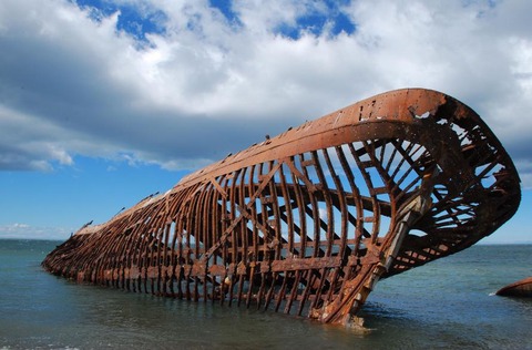 skeleton coast