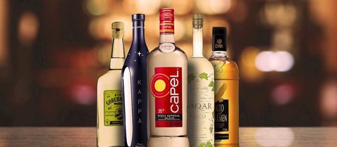 pisco chile