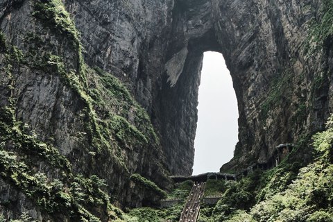 montana tianmen