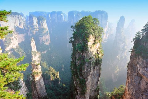 tianzi