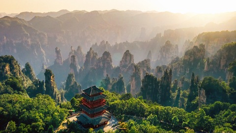 montana tianzi