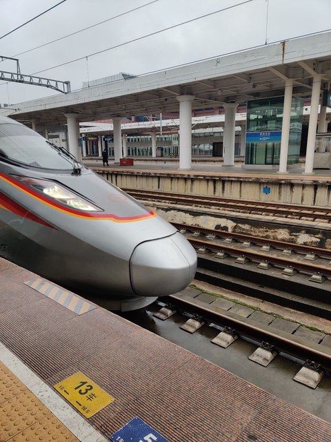 tren fuxing anden numero coche