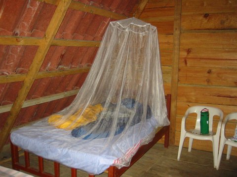 Cama individual cubierta por una mosquitera blanca colgada del techo en una cabaña de madera