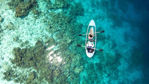¿ cómo se forman los arrecifes de coral?