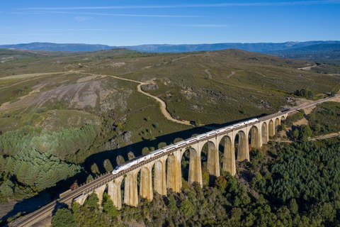 Tren circulando por un paisaje verde