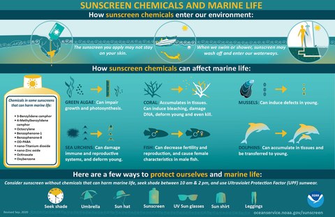 noaa coral sunscreen