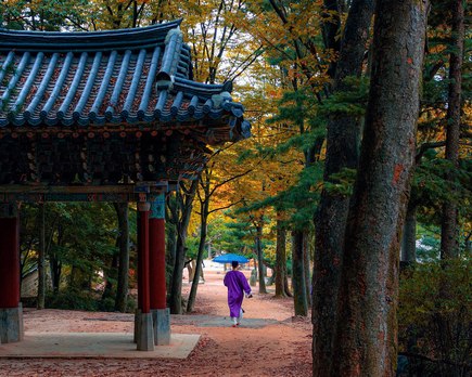 cultura tradicional corea sur