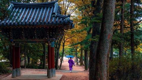 cultura tradicional corea sur