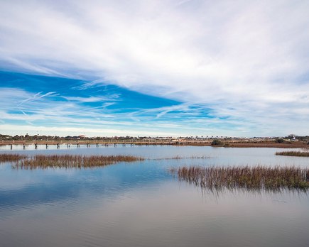 estuario vs rio