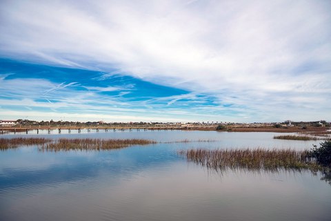 estuario vs rio