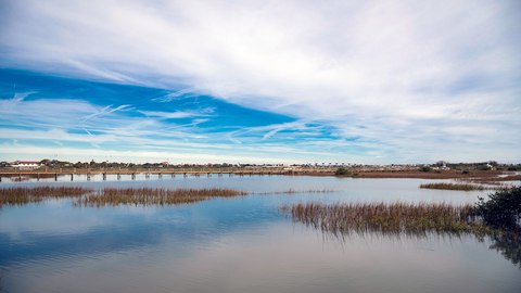 estuario vs rio
