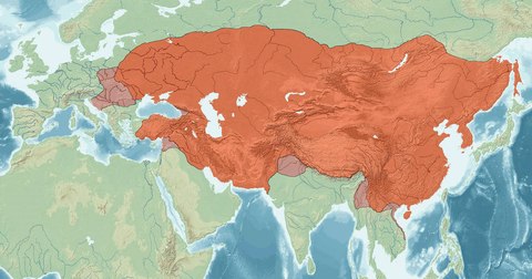 imperio mongol