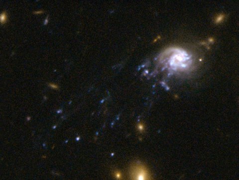 galaxia cometa
