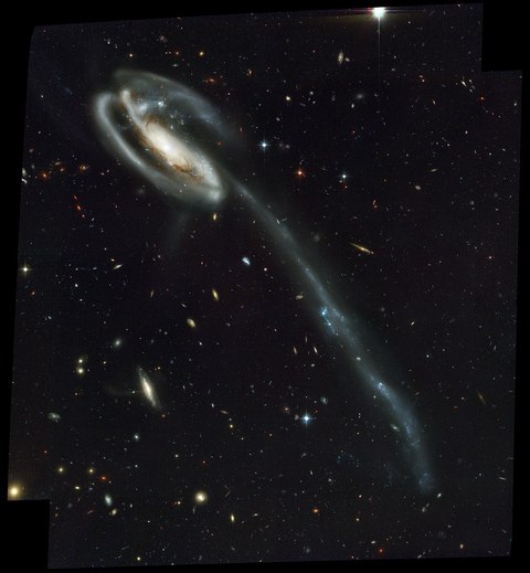 galaxia renacuajo