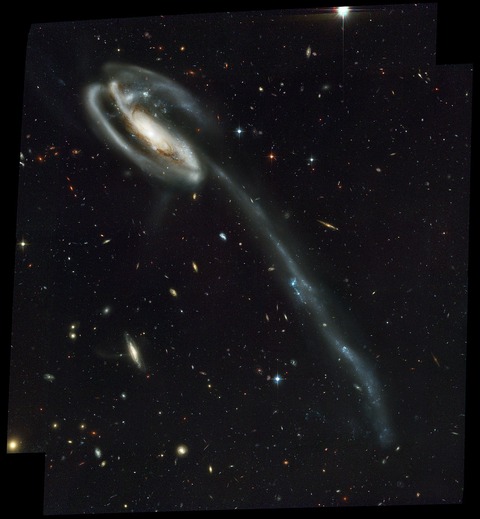 galaxia renacuajo