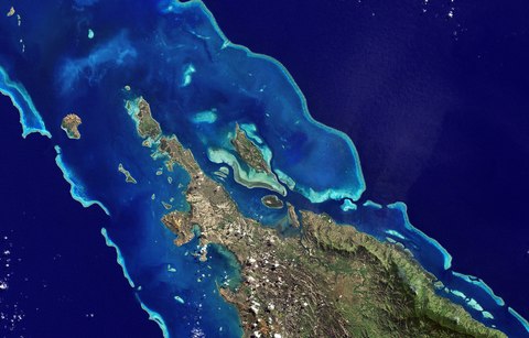 coral de nueva caledonia