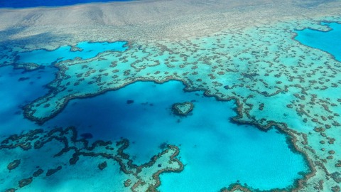 los mayores arrecifes de coral del mundo