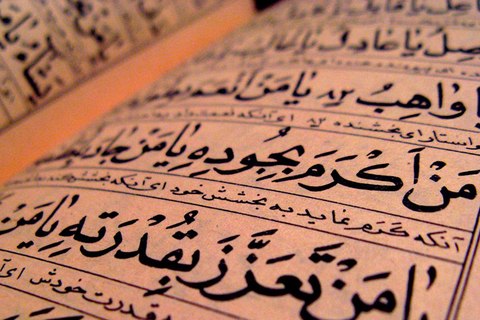 cuantas personas hablan arabe en el mundo