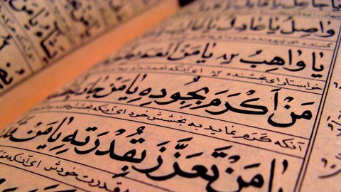 cuantas personas hablan arabe en el mundo