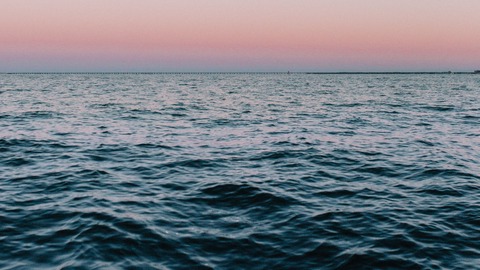 curiosidades sobre los oceanos