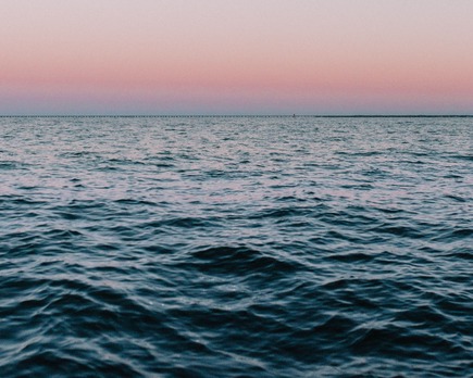 curiosidades sobre los oceanos