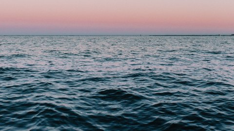 curiosidades sobre los oceanos
