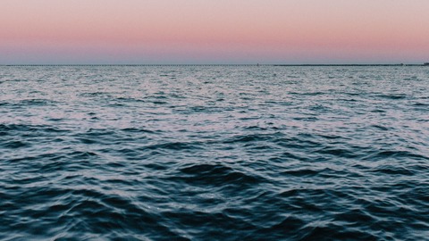 curiosidades sobre los oceanos