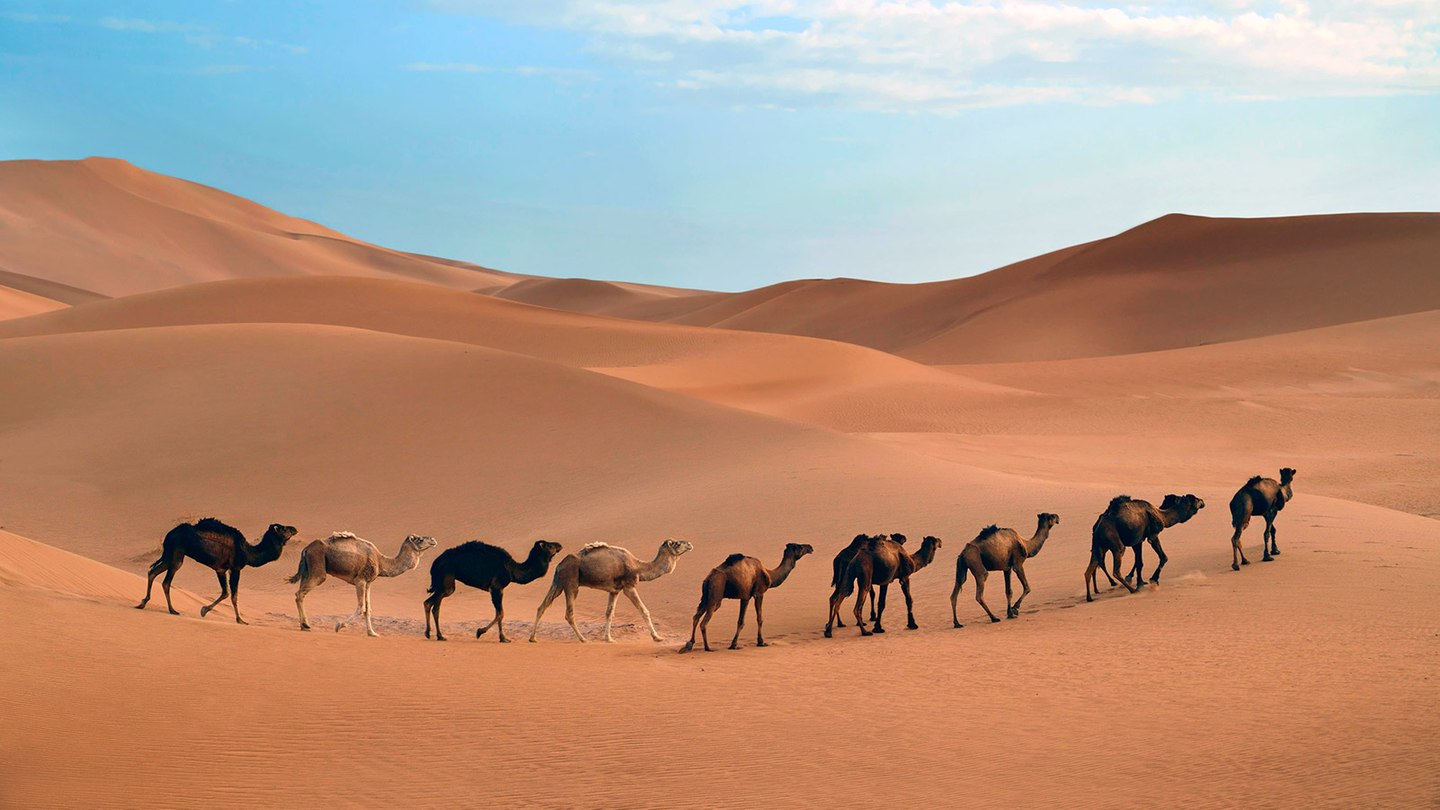el desierto del sahara