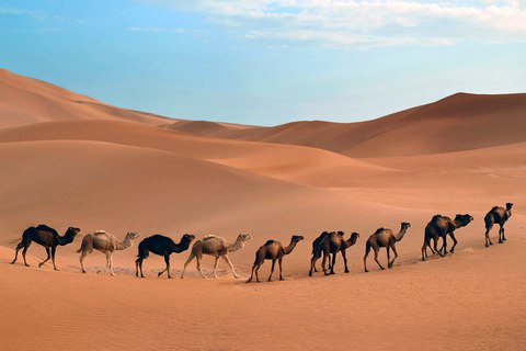 el desierto del sahara