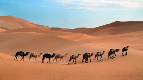 el desierto del sahara datos interesantes