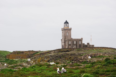 isla de may escocia