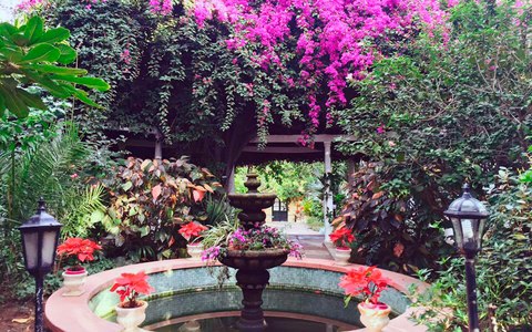el jardin de orquideas sitio litre