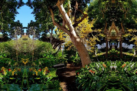 hijuela del botanico