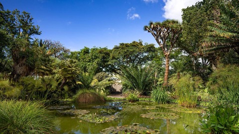jardin aclimatacion orotaba