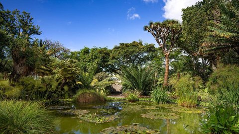 jardin aclimatacion orotaba