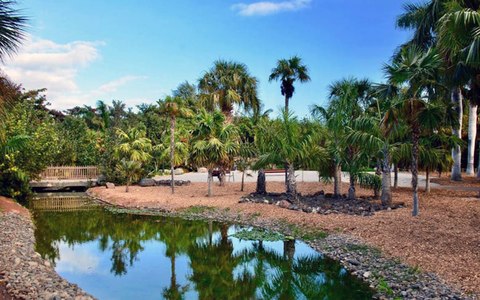 jardin botanico palmetum tenerife