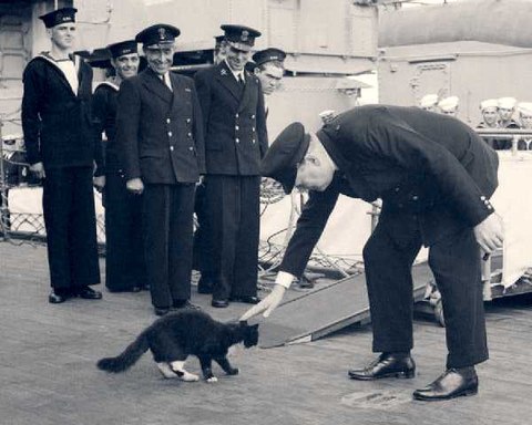 battleship blackie