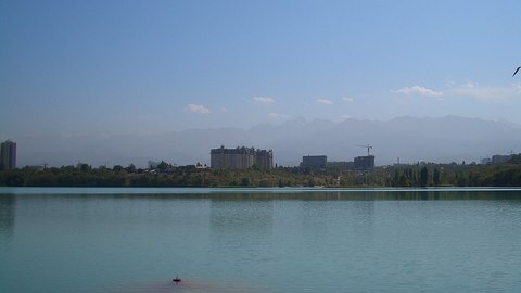estatua cadena humana rescate perro almaty