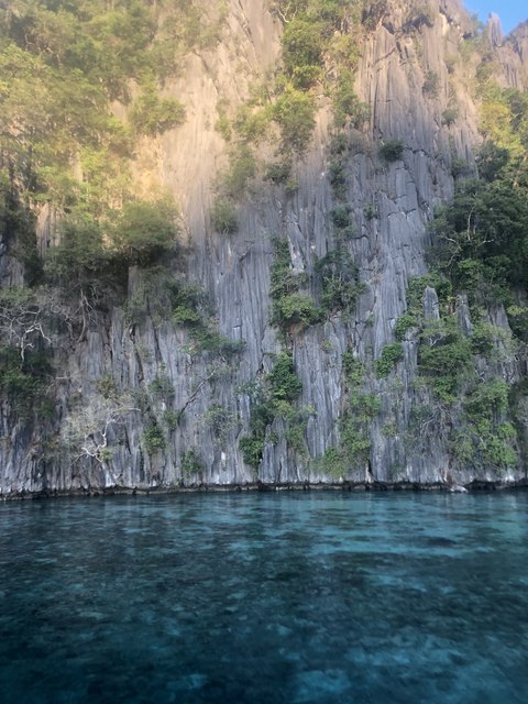 lago barracuda