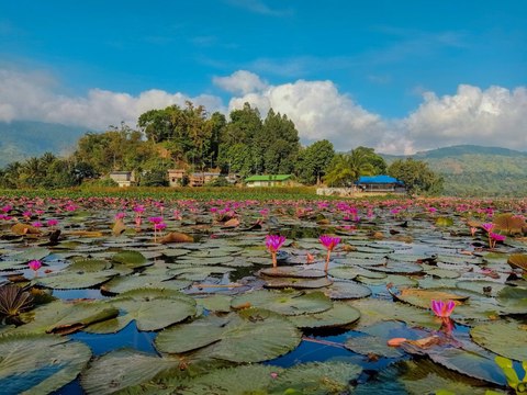 lago lake sebu