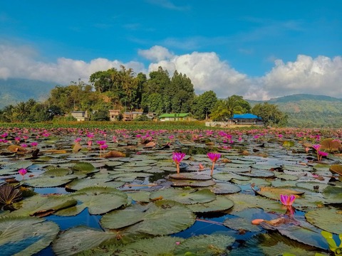lago lake sebu