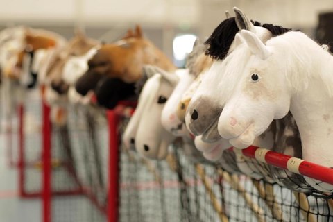 hobby horsing