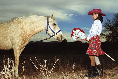 hobby horsing