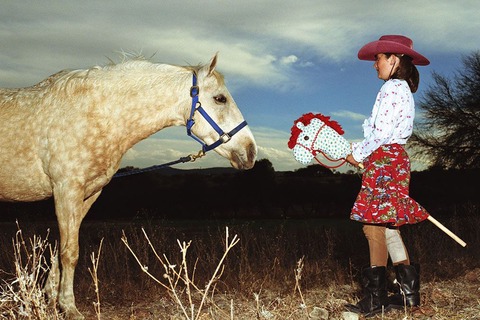 hobby horsing