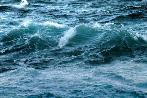 formas de ayudar a salvar los oceanos